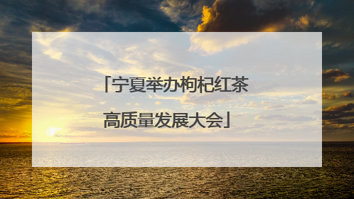 宁夏举办枸杞红茶高质量发展大会