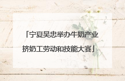 宁夏吴忠举办牛奶产业挤奶工劳动和技能大赛
