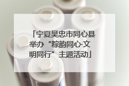 宁夏吴忠市同心县举办“粽韵同心·文明同行”主题活动