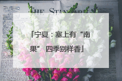 宁夏：塞上有“南果” 四季别样香