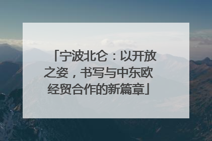 宁波北仑：以开放之姿，书写与中东欧经贸合作的新篇章