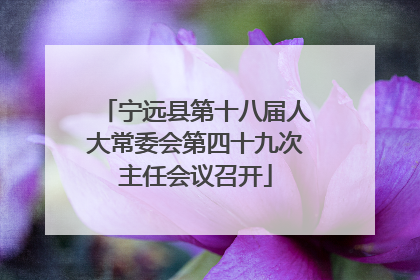 宁远县第十八届人大常委会第四十九次主任会议召开