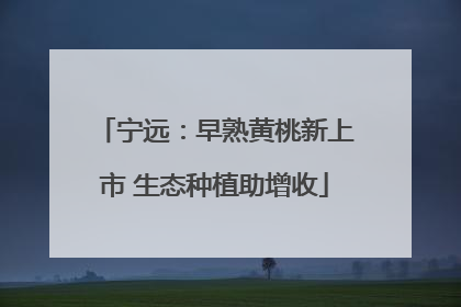 宁远：早熟黄桃新上市 生态种植助增收