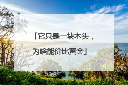 它只是一块木头，为啥能价比黄金