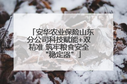 安华农业保险山东分公司科技赋能+双精准 筑牢粮食安全“稳定器”
