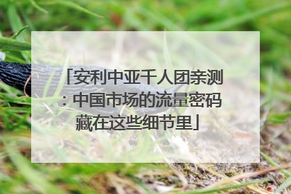 安利中亚千人团亲测：中国市场的流量密码 藏在这些细节里