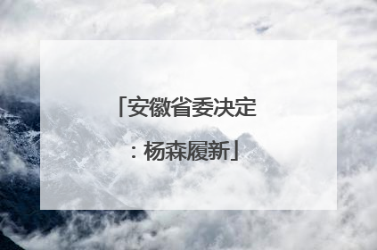 安徽省委决定：杨森履新