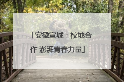 安徽宣城：校地合作 澎湃青春力量