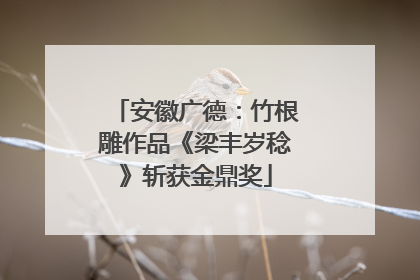 安徽广德：竹根雕作品《梁丰岁稔》斩获金鼎奖