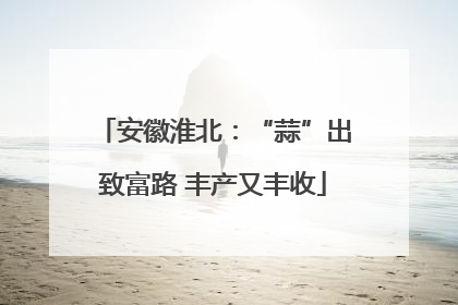 安徽淮北：“蒜”出致富路 丰产又丰收