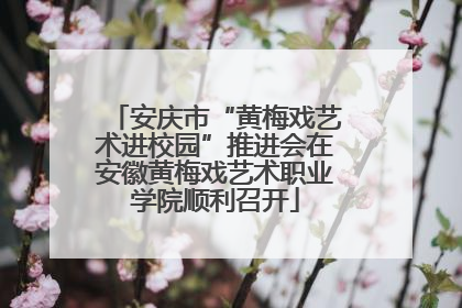 安庆市“黄梅戏艺术进校园”推进会在安徽黄梅戏艺术职业学院顺利召开