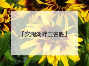 安澜湖畔三名胜