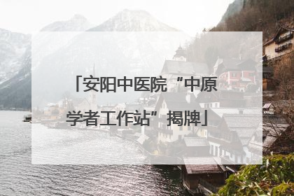 安阳中医院“中原学者工作站”揭牌