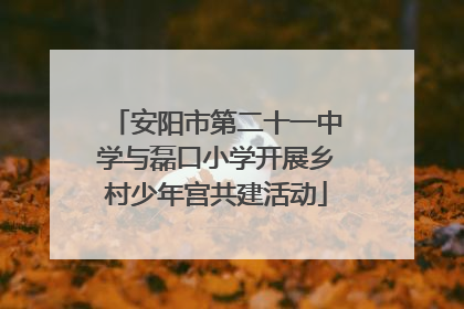 安阳市第二十一中学与磊口小学开展乡村少年宫共建活动