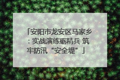 安阳市龙安区马家乡：实战演练砺精兵 筑牢防汛“安全堤”