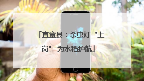 宜章县：杀虫灯“上岗” 为水稻护航