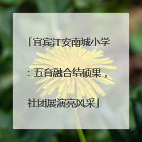 宜宾江安南城小学：五育融合结硕果，社团展演亮风采