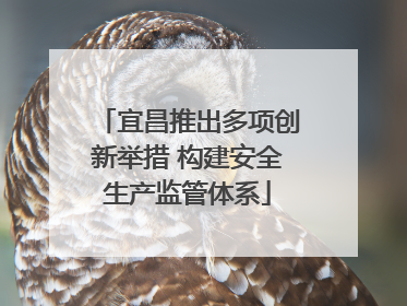 宜昌推出多项创新举措 构建安全生产监管体系