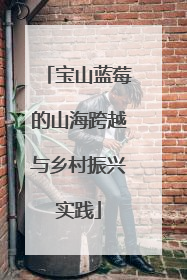 宝山蓝莓的山海跨越与乡村振兴实践