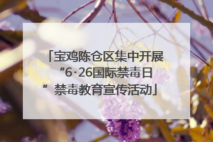 宝鸡陈仓区集中开展“6･26国际禁毒日”禁毒教育宣传活动