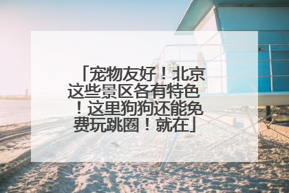 宠物友好！北京这些景区各有特色！这里狗狗还能免费玩跳圈！就在