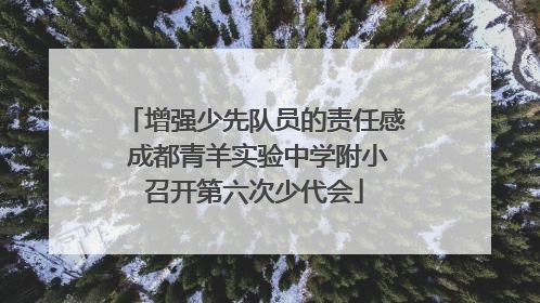 增强少先队员的责任感 成都青羊实验中学附小召开第六次少代会