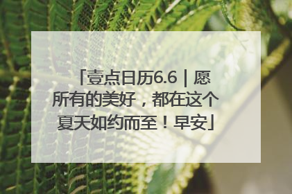 壹点日历6.6｜愿所有的美好，都在这个夏天如约而至！早安