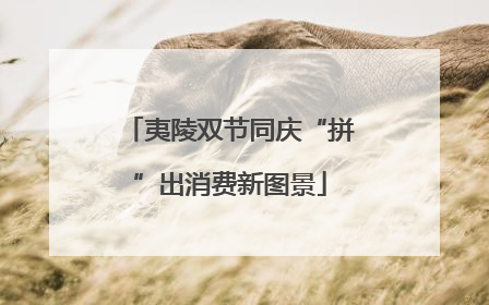 夷陵双节同庆“拼”出消费新图景