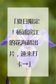 夏日限定！杨浦滨江的花海超出片，速来打卡→