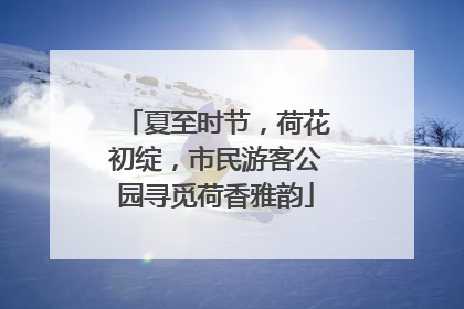夏至时节，荷花初绽，市民游客公园寻觅荷香雅韵