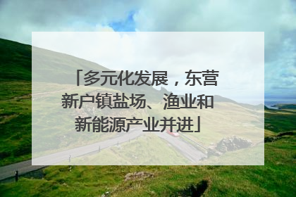 多元化发展，东营新户镇盐场、渔业和新能源产业并进