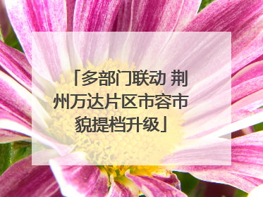 多部门联动 荆州万达片区市容市貌提档升级