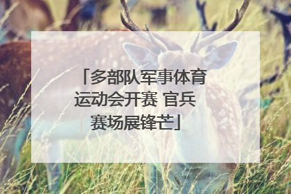 多部队军事体育运动会开赛 官兵赛场展锋芒