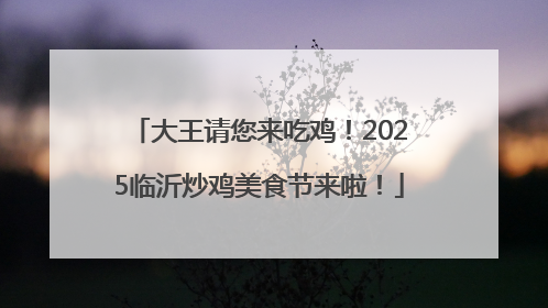 大王请您来吃鸡！2025临沂炒鸡美食节来啦！