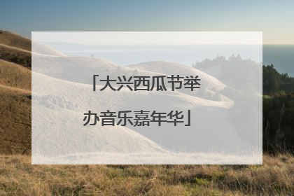 大兴西瓜节举办音乐嘉年华