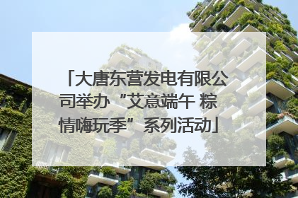 大唐东营发电有限公司举办“艾意端午 粽情嗨玩季”系列活动
