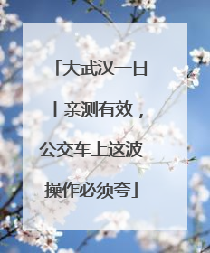 大武汉一日丨亲测有效，公交车上这波操作必须夸