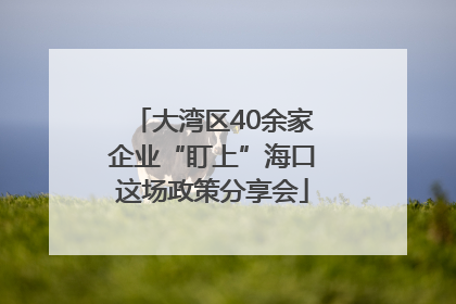 大湾区40余家企业“盯上”海口这场政策分享会