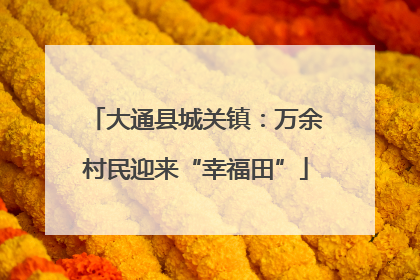 大通县城关镇：万余村民迎来“幸福田”