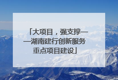 大项目，强支撑——湖南建行创新服务重点项目建设