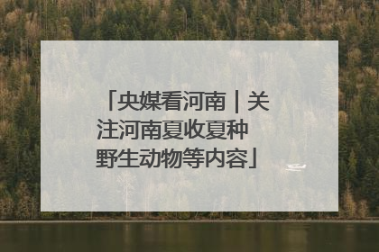 央媒看河南｜关注河南夏收夏种 野生动物等内容