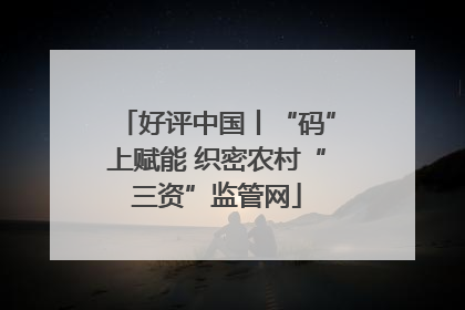 好评中国丨“码”上赋能 织密农村“三资”监管网
