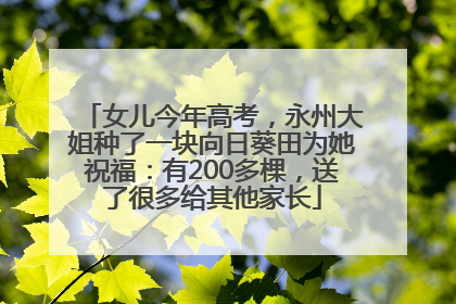 女儿今年高考，永州大姐种了一块向日葵田为她祝福：有200多棵，送了很多给其他家长
