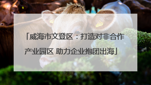 威海市文登区：打造对非合作产业园区 助力企业抱团出海