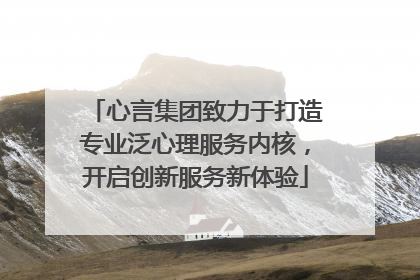 心言集团致力于打造专业泛心理服务内核，开启创新服务新体验
