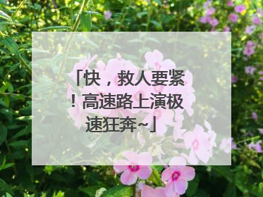 快，救人要紧！高速路上演极速狂奔~