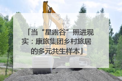 当“星露谷”照进现实：康旅集团乡村旅居的多元共生样本
