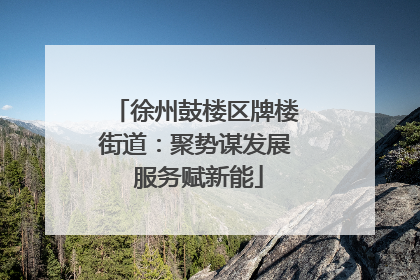徐州鼓楼区牌楼街道：聚势谋发展 服务赋新能