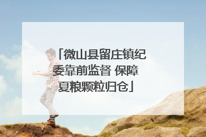 微山县留庄镇纪委靠前监督 保障夏粮颗粒归仓