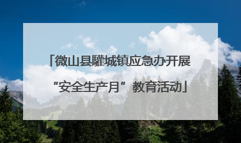 微山县驩城镇应急办开展“安全生产月”教育活动